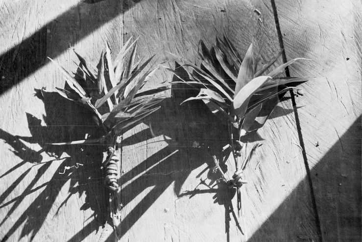 Autosave-File vom d-lab2/3 der AgfaPhoto GmbH