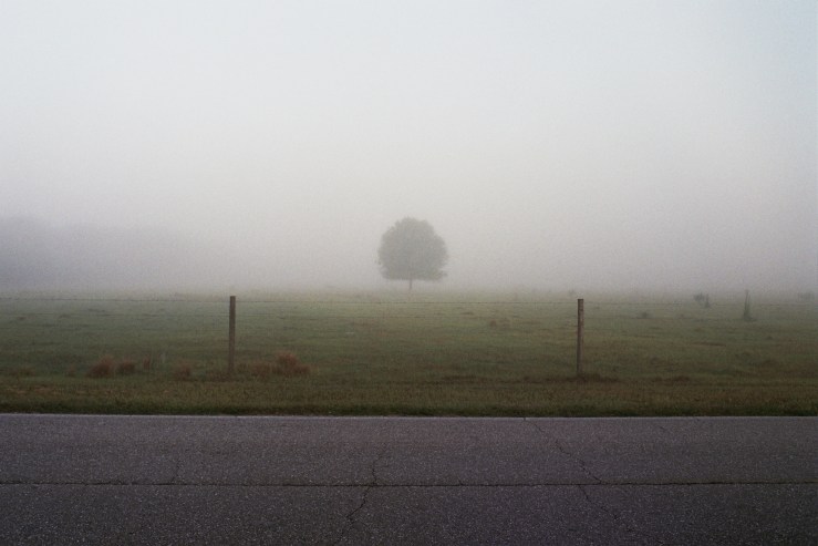 Autosave-File vom d-lab2/3 der AgfaPhoto GmbH