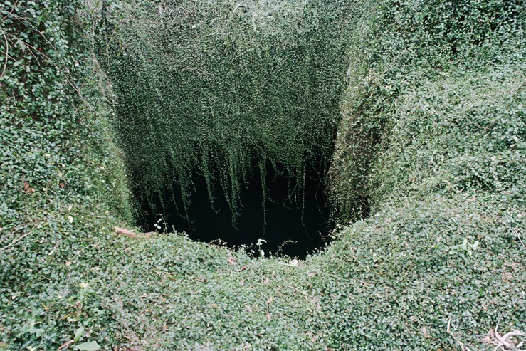 Autosave-File vom d-lab2/3 der AgfaPhoto GmbH