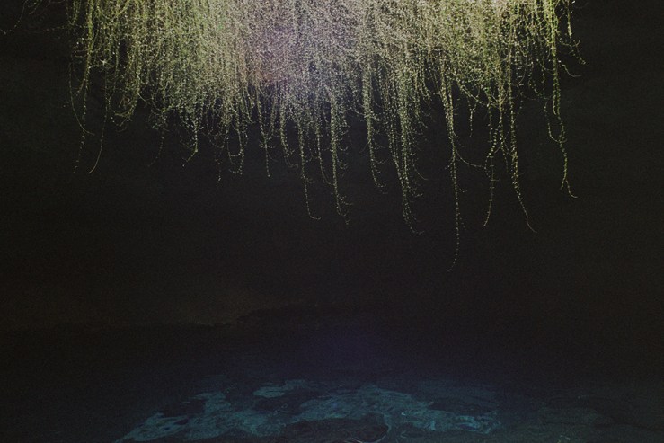 Autosave-File vom d-lab2/3 der AgfaPhoto GmbH